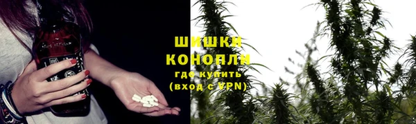 гашик Михайлов