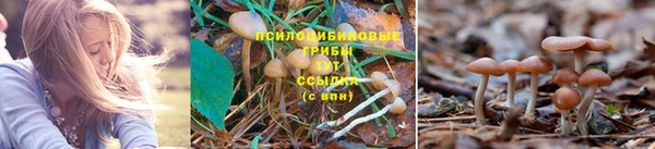 MDMA Михайловск