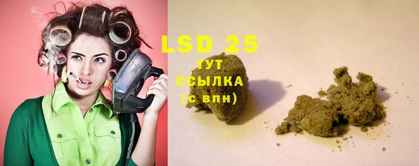 гашик Михайлов