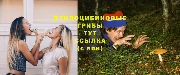 гашик Михайлов