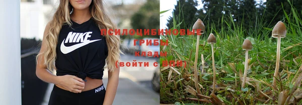 a pvp Сосновка
