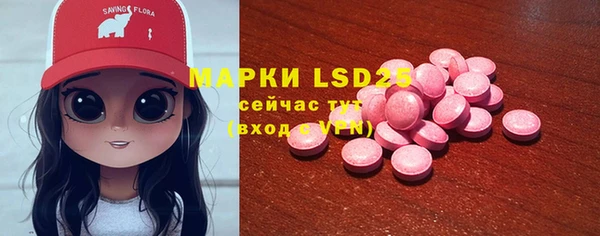 гашик Михайлов
