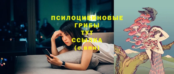 гашик Михайлов
