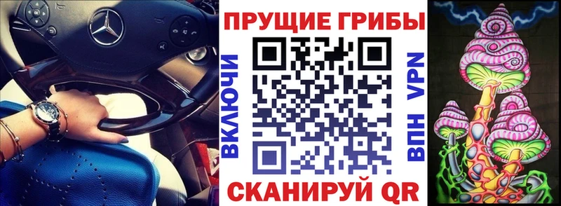 как найти наркотики  Ессентуки  hydra вход  Галлюциногенные грибы Cubensis 