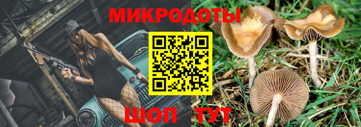 Галлюциногенные грибы Magic Shrooms  Псилоцибиновые грибы Cubensis  Ессентуки 