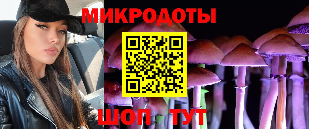 МЕФ Ессентуки