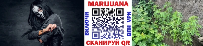 Шишки марихуана план  MEGA онион  Ессентуки 